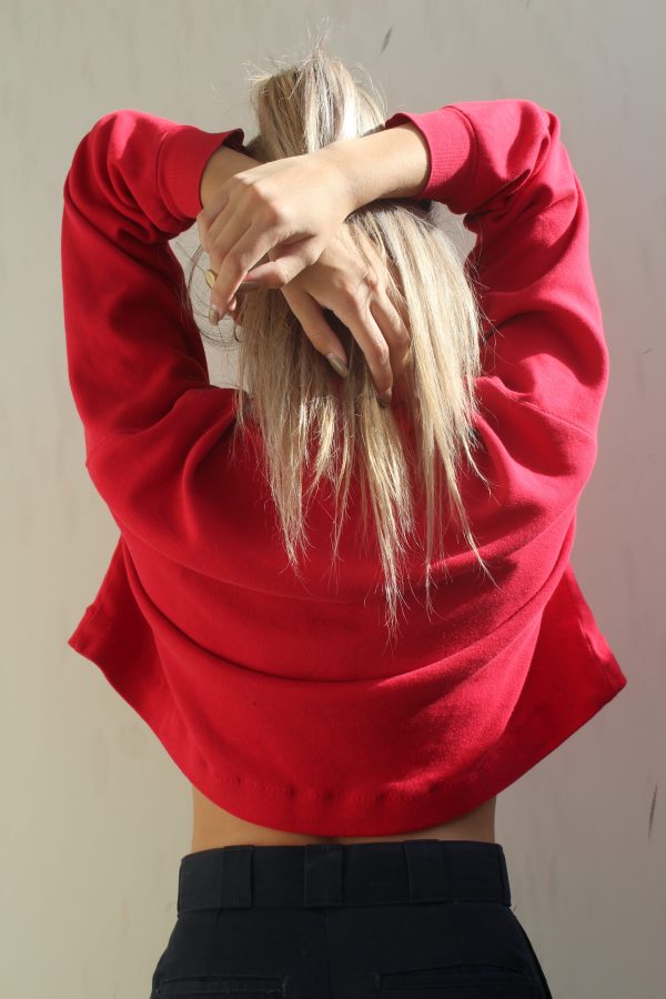 Little Red Sweater