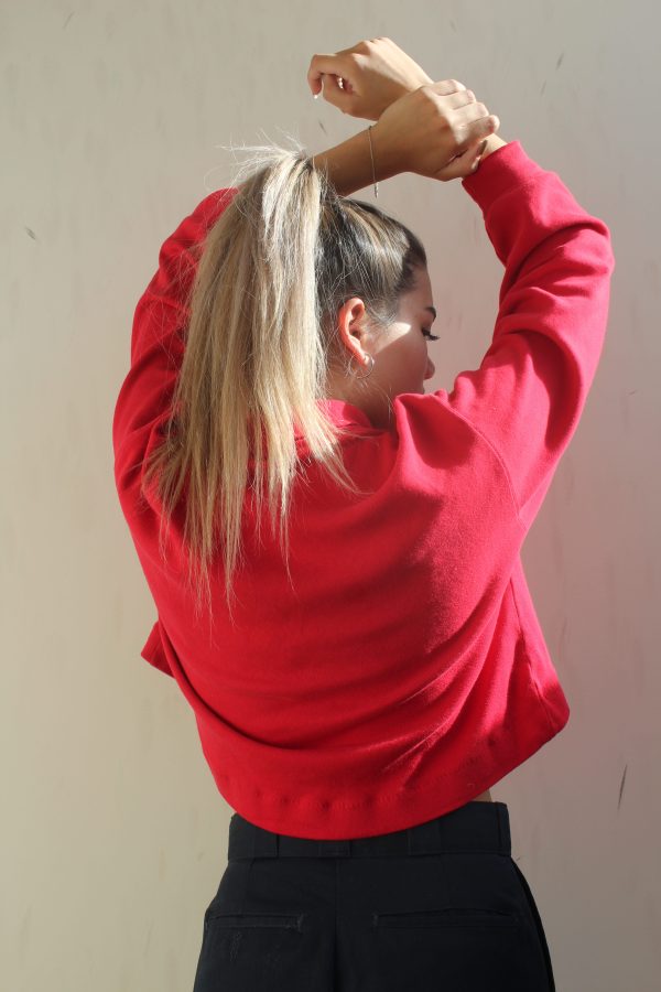 Little Red Sweater